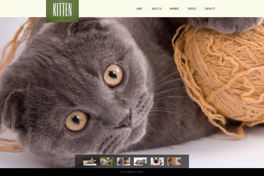Pet Web Design for Cats Club, Portal & Blog image
