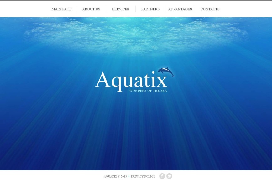 Dolphin Website Template with Background Image - image