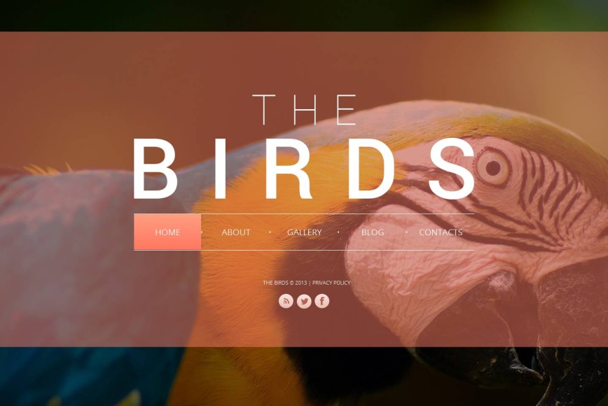 Birds Website Template with Darkened Background Pictures - image