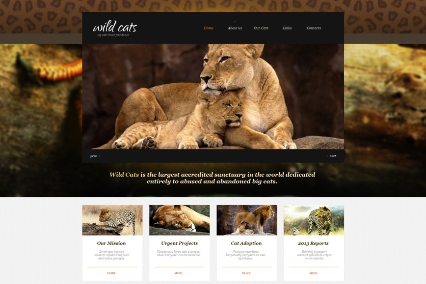 Wildlife And Nature Website Template With JQuery Slider - MotoCMS