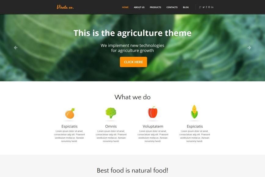 Agriculture Website Template with Content Intensive Layout - image