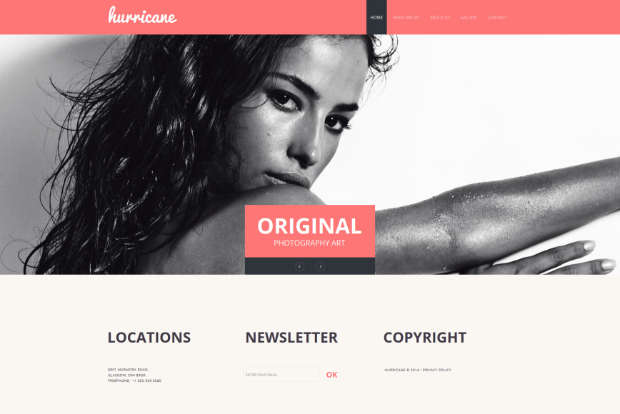 White Photography Template with Pink Header - image