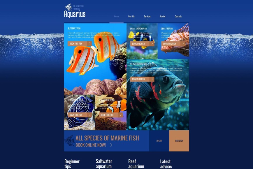 Fish Aquarium Website Template for Fish Selling Website MotoCMS