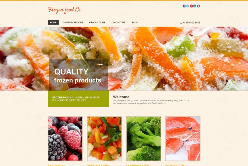 Frozen Food Website Template With Image Slider Motocms