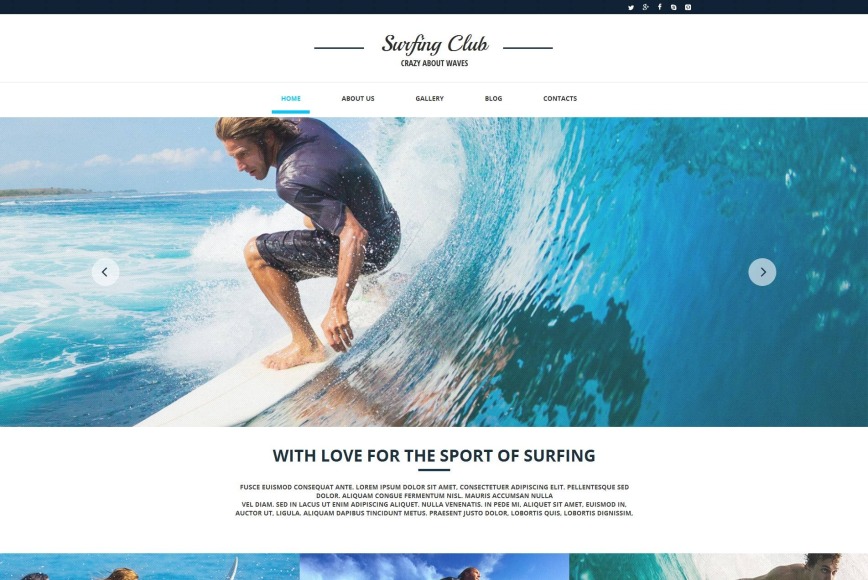 Complete Surf Website for Your Hobby - image