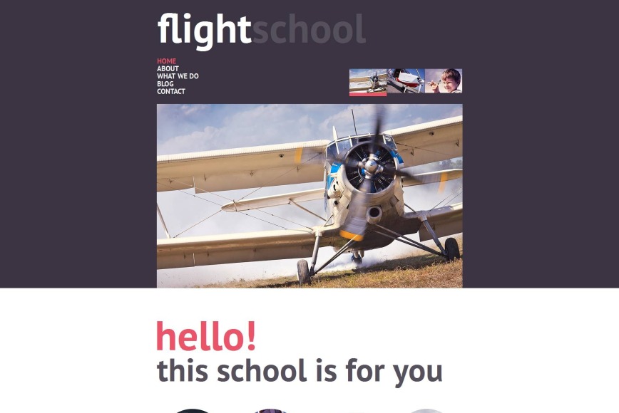 Flight Training School Website Design - image