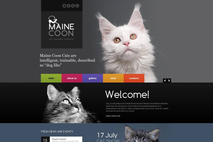 Website 2024 about cats