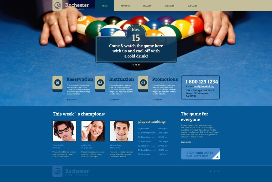 Billiard Supplies site Theme MotoCMS