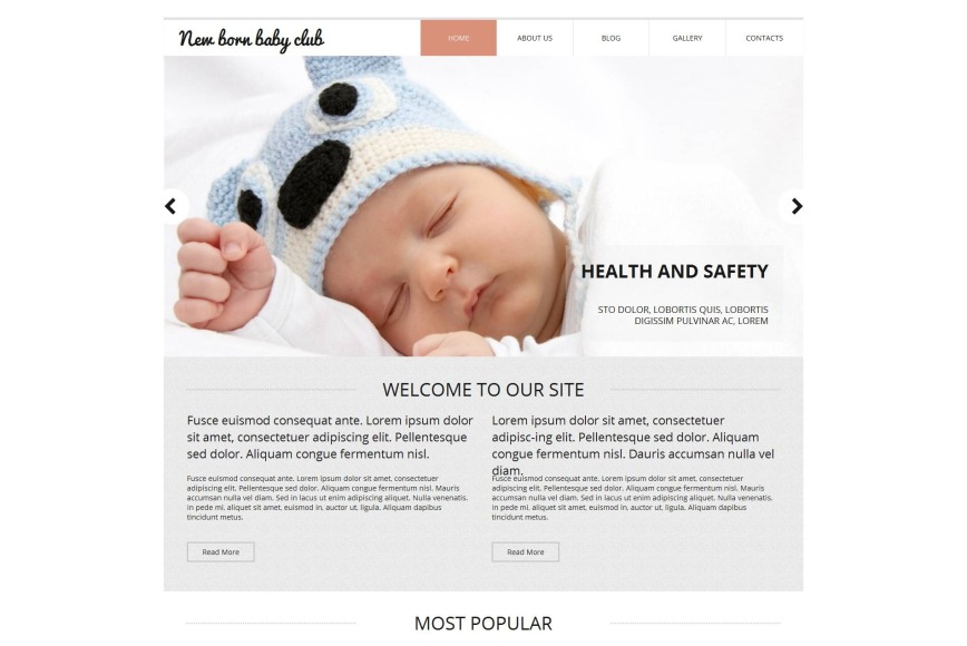 Newborn Website Template for Baby Club image