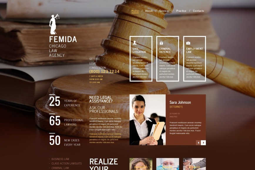 Femida HTML Homepage-Vorlage - image