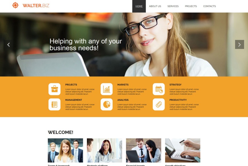 Local Business Web Design for Business Company - MotoCMS