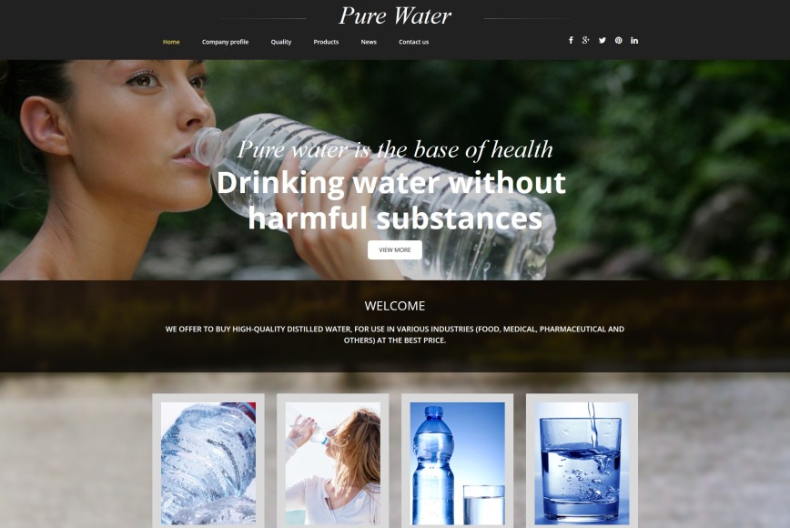 Drinking Water site Template for Water Filters  Store MotoCMS