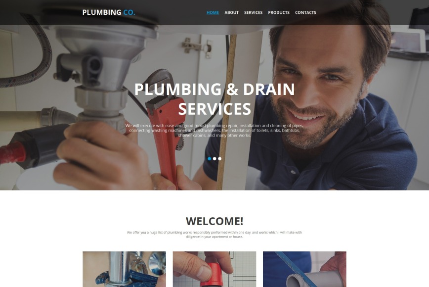 Plumbing Services Website Design - MotoCMS