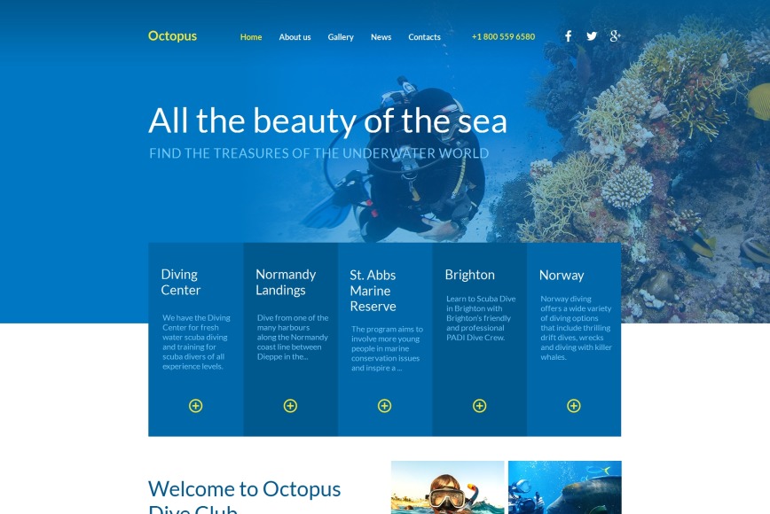 Underwater Website Template for Diving Club image