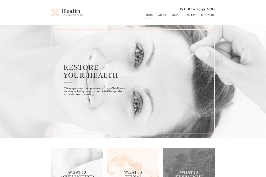Alternative Medicine Website Template for Acupuncture Clinic image