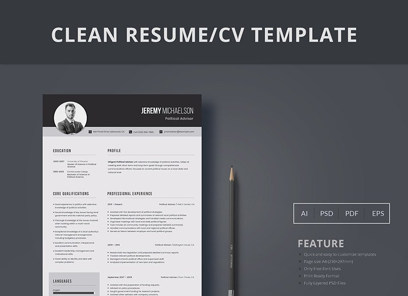 Political Consultant Resume Template Image