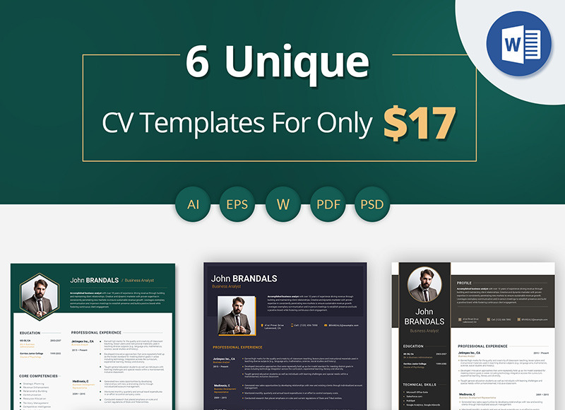 Business Analyst Resume Template Image