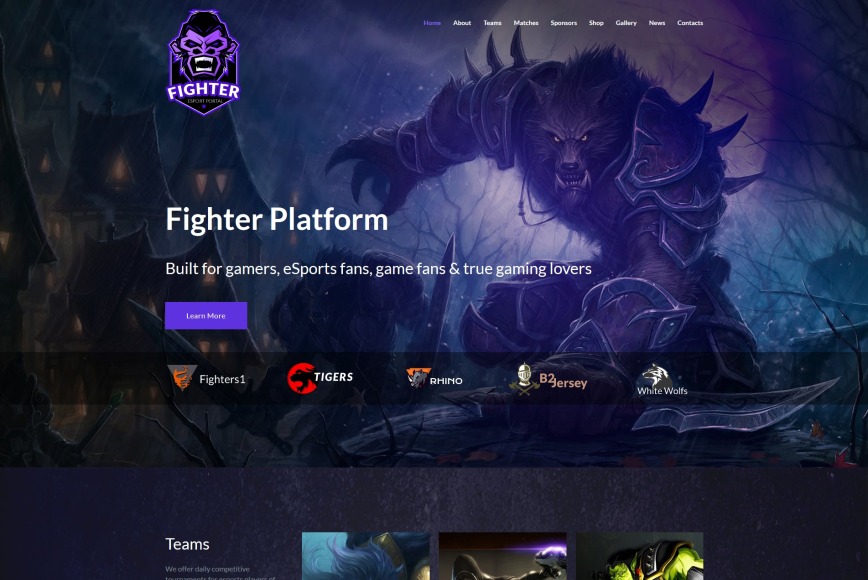 Best Website Gaming Template for eSports Organizations - Zemez