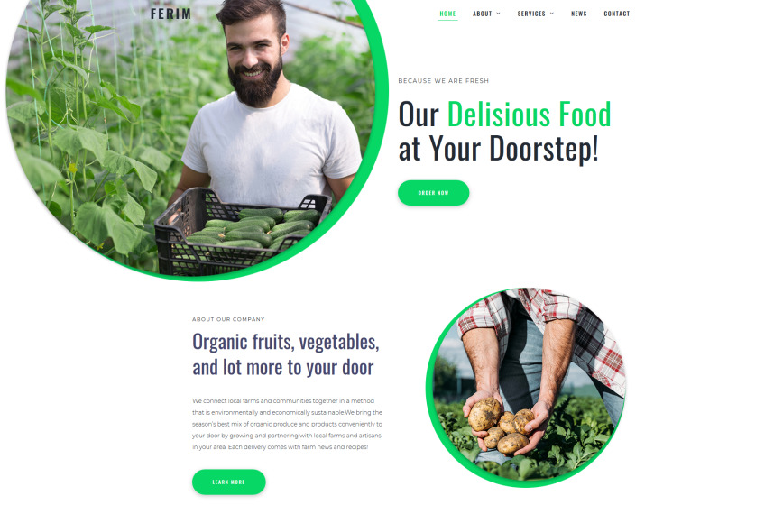 Food Delivery Service Website Template Motocms