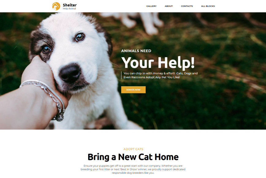 Free Template for Pet Adoption Website MotoCMS